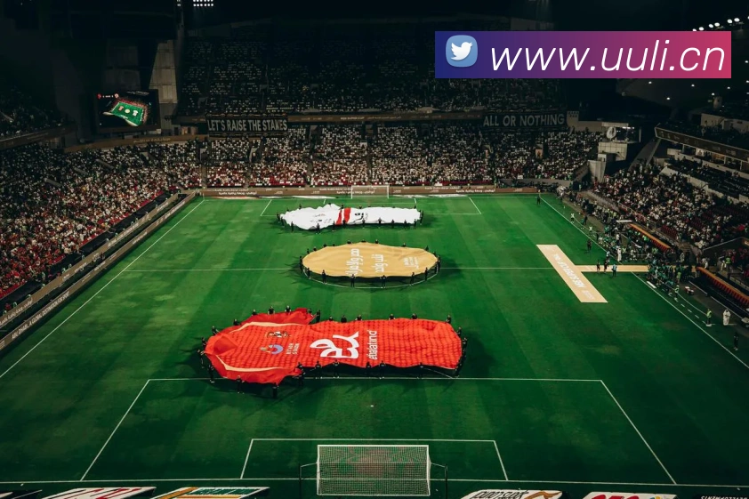 开云在线登录app官网APP 封面图